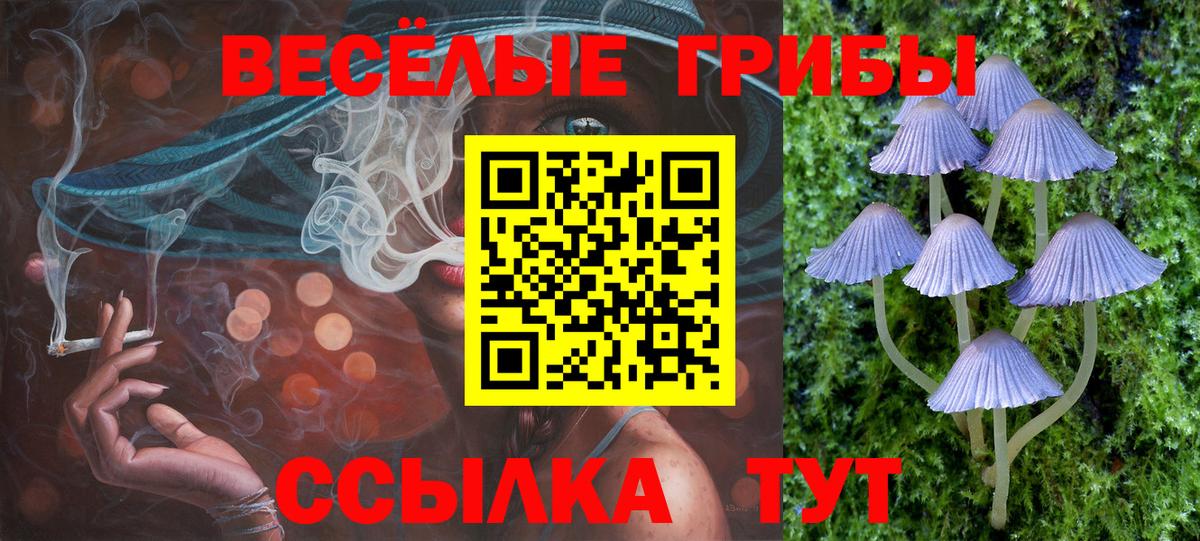 Галлюциногенные грибы мицелий  Вход с VPN  Заволжье 