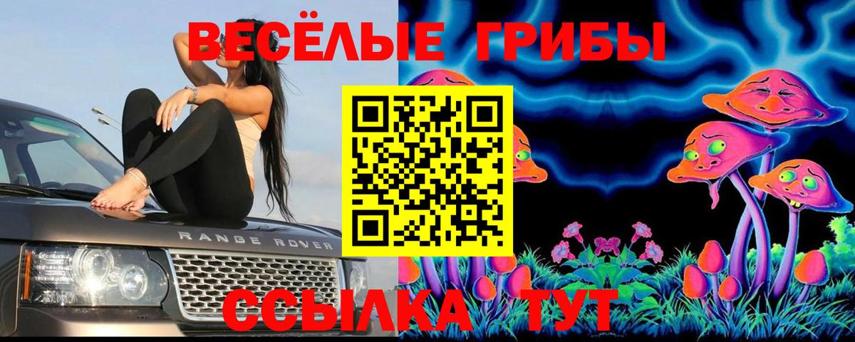 Псилоцибиновые грибы мицелий Заволжье